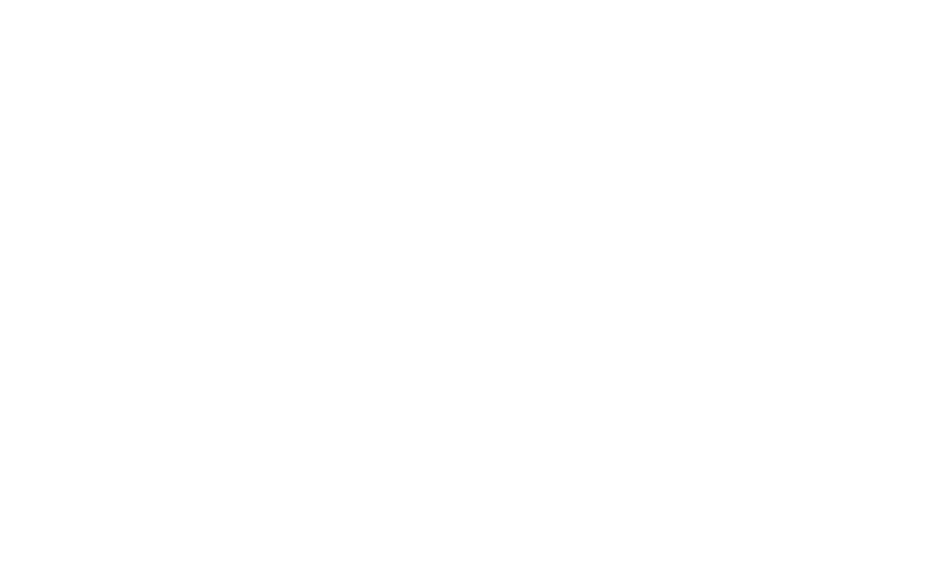 The Code Guy